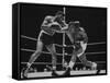 Floyd Patterson, and Sonny Liston During Championship Fight in Won by Liston in 1 1/2 Minutes-George Silk-Framed Stretched Canvas