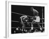 Floyd Patterson, and Sonny Liston During Liston-Patterson Heavyweight Title Bout-George Silk-Framed Premium Photographic Print