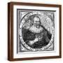 Brown Frame