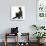 Fluffy Black Kitten, 12 Weeks Old, Stretching-Mark Taylor-Photographic Print displayed on a wall