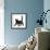 Fluffy Black Kitten, 12 Weeks Old, Walking Across-Mark Taylor-Framed Photographic Print displayed on a wall