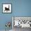 Fluffy Black Kitten, 12 Weeks Old, Walking Across-Mark Taylor-Framed Photographic Print displayed on a wall