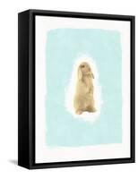 Fluffy Bunny-Leah Straatsma-Framed Stretched Canvas