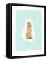 Fluffy Bunny-Leah Straatsma-Framed Stretched Canvas