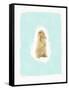 Fluffy Bunny-Leah Straatsma-Framed Stretched Canvas