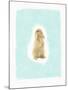 Fluffy Bunny-Leah Straatsma-Mounted Art Print