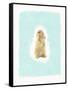 Fluffy Bunny-Leah Straatsma-Framed Stretched Canvas