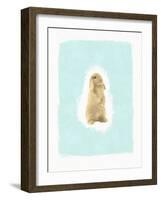 Fluffy Bunny-Leah Straatsma-Framed Art Print