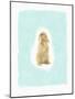 Fluffy Bunny-Leah Straatsma-Mounted Art Print