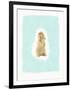 Fluffy Bunny-Leah Straatsma-Framed Art Print