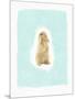 Fluffy Bunny-Leah Straatsma-Mounted Art Print