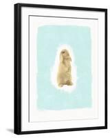 Fluffy Bunny-Leah Straatsma-Framed Art Print