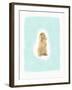 Fluffy Bunny-Leah Straatsma-Framed Art Print