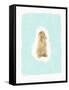 Fluffy Bunny-Leah Straatsma-Framed Stretched Canvas