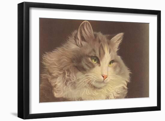 Fluffy Cat-null-Framed Art Print