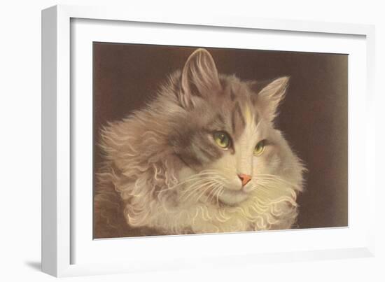 Fluffy Cat-null-Framed Art Print