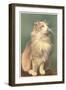 Fluffy Cat-null-Framed Art Print