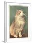 Fluffy Cat-null-Framed Art Print