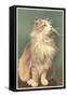 Fluffy Cat-null-Framed Stretched Canvas