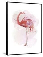 Fluffy Flamingo 3-Fab Funky-Framed Stretched Canvas