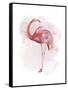 Fluffy Flamingo 3-Fab Funky-Framed Stretched Canvas