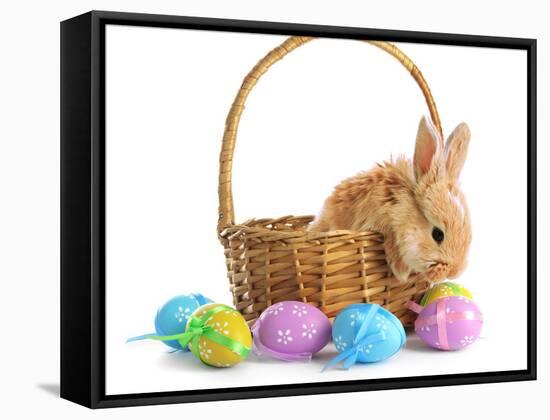 Fluffy Foxy Rabbit in Basket with Easter Eggs-Yastremska-Framed Stretched Canvas