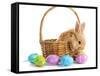 Fluffy Foxy Rabbit in Basket with Easter Eggs-Yastremska-Framed Stretched Canvas