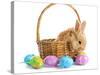 Fluffy Foxy Rabbit in Basket with Easter Eggs-Yastremska-Stretched Canvas