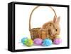 Fluffy Foxy Rabbit in Basket with Easter Eggs-Yastremska-Framed Stretched Canvas