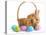 Fluffy Foxy Rabbit in Basket with Easter Eggs-Yastremska-Stretched Canvas