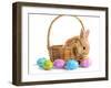 Fluffy Foxy Rabbit in Basket with Easter Eggs-Yastremska-Framed Photographic Print