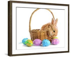 Fluffy Foxy Rabbit in Basket with Easter Eggs-Yastremska-Framed Photographic Print