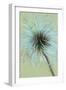 Fluffy Seedhead of Clematis Frances Rivis Lying on Antique Paper-Den Reader-Framed Photographic Print