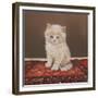 Fluffy-Janet Pidoux-Framed Giclee Print