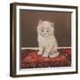 Fluffy-Janet Pidoux-Framed Giclee Print