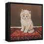 Fluffy-Janet Pidoux-Framed Stretched Canvas