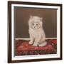 Fluffy-Janet Pidoux-Framed Giclee Print