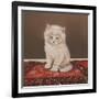 Fluffy-Janet Pidoux-Framed Giclee Print