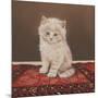 Fluffy-Janet Pidoux-Mounted Giclee Print