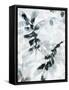 Fluid and Flow 1-Li Bo-Framed Stretched Canvas