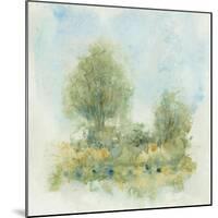 Fluid Landscape II-Tim OToole-Mounted Art Print