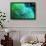Fluorescing underwater macro images-Stuart Westmorland-Framed Photographic Print displayed on a wall