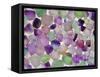 Fluorite minerals-Walter Geiersperger-Framed Stretched Canvas