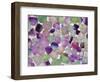 Fluorite minerals-Walter Geiersperger-Framed Photographic Print