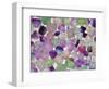 Fluorite minerals-Walter Geiersperger-Framed Photographic Print