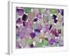 Fluorite minerals-Walter Geiersperger-Framed Photographic Print