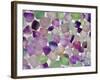 Fluorite minerals-Walter Geiersperger-Framed Photographic Print