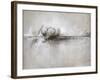 Flurry Horizon-Kari Taylor-Framed Giclee Print