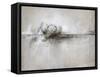 Flurry Horizon-Kari Taylor-Framed Stretched Canvas