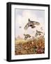 Flushed Partridges-Carl Donner-Framed Giclee Print